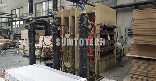 moulded door skin hot press machine